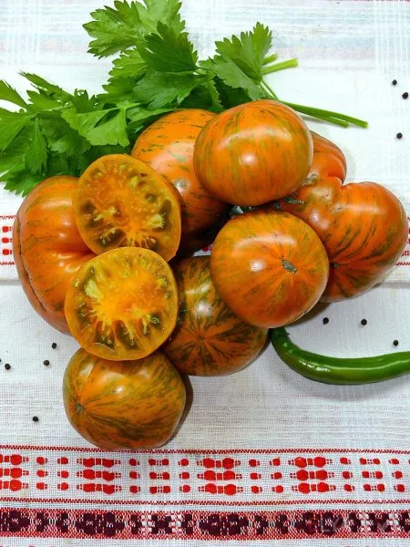 dzhipoliya-main-148829