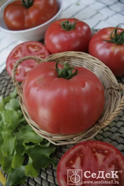 ekaterina-velikaya-2-139744