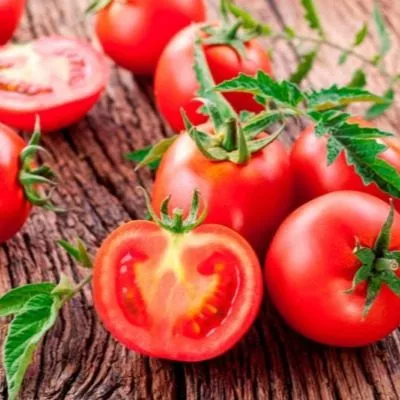 ekaterina-velikaya-main-139744