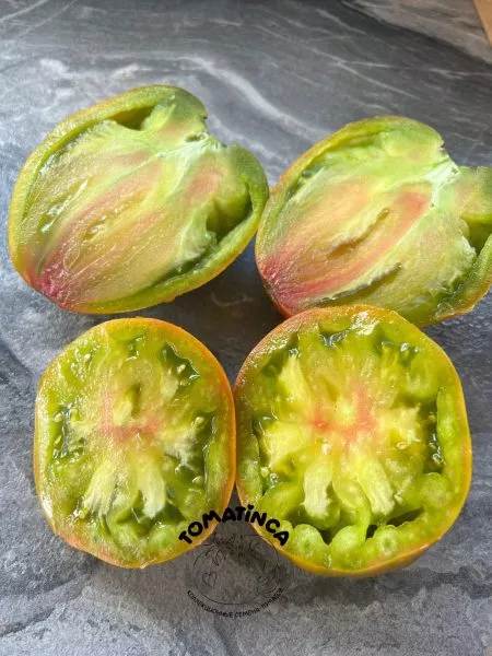 elfy-lesa-pazlvud-1-140616-1