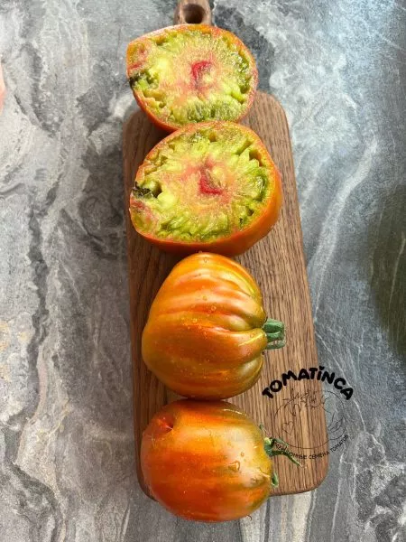 elfy-lesa-pazlvud-1-140616-2