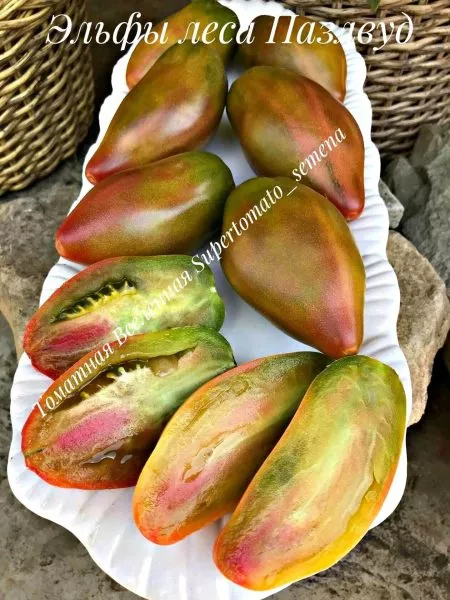 elfy-lesa-pazlvud-2-140616