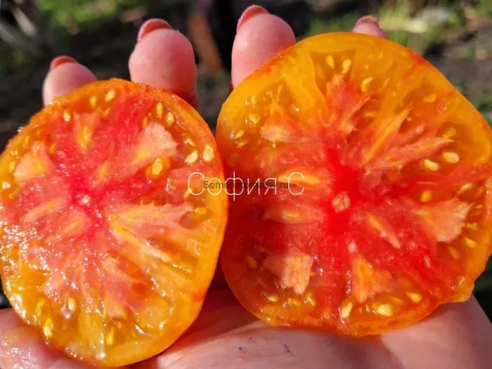 eyo-velichestvo-babushka-5-150347