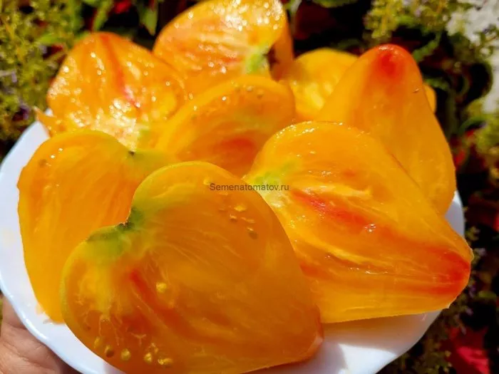 eyo-velichestvo-babushka-6-150347