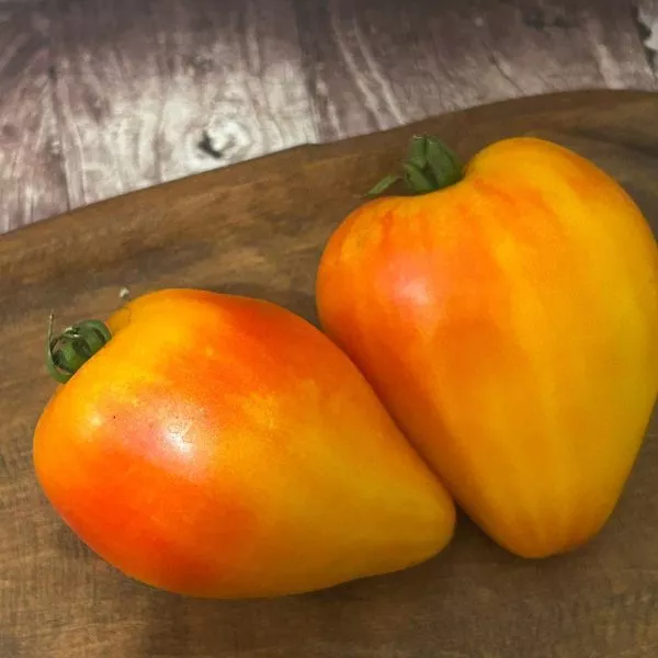 eyo-velichestvo-babushka-main-150347