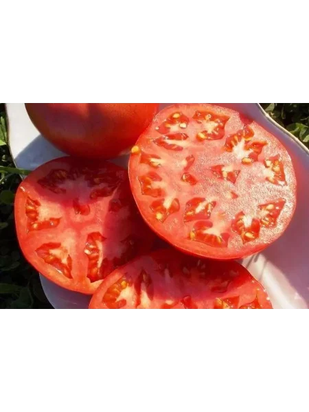 favorit-17-1-4-154186