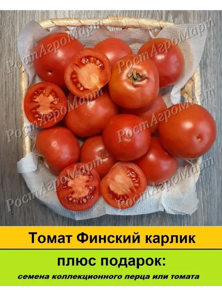 finskiy-karlik-2-155480