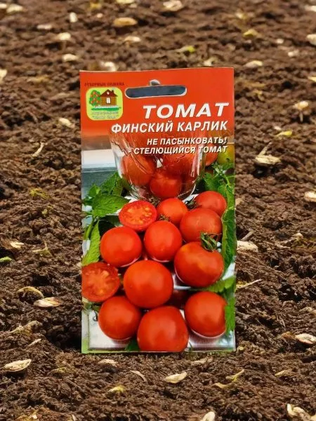 finskiy-karlik-3-155480