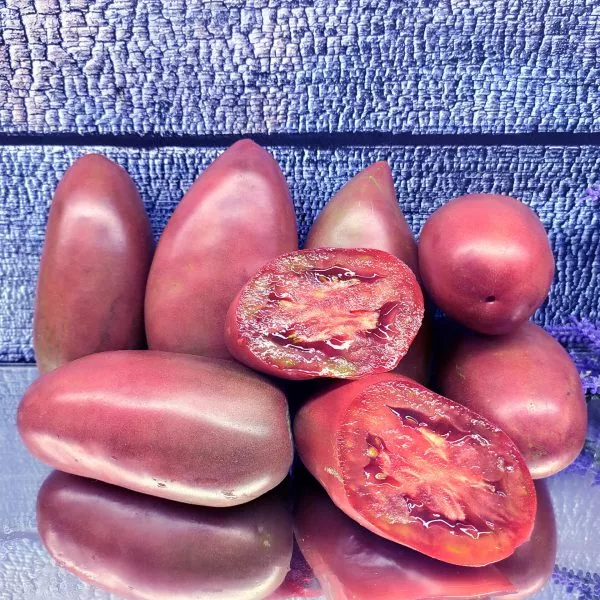 fioletovaya-gordost-vesselya-main-159213