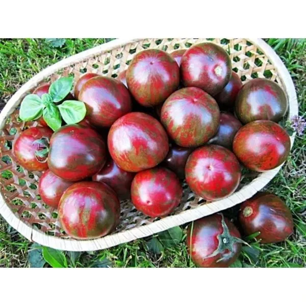 fioletovyy-dzhasper-main-156478