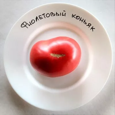 fioletovyy-konyak-5-150752