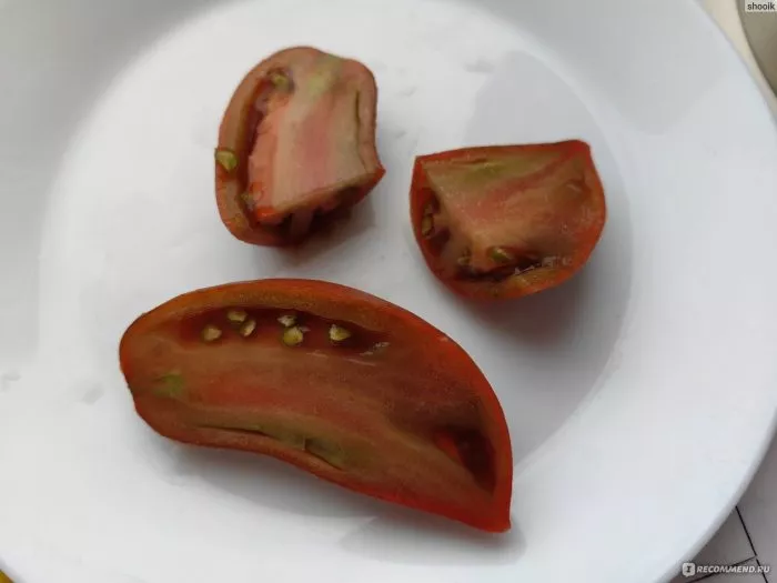 flamenko-purpurnyy-4-167490