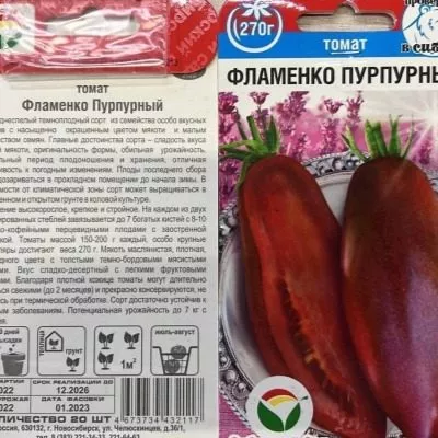 flamenko-purpurnyy-6-167490