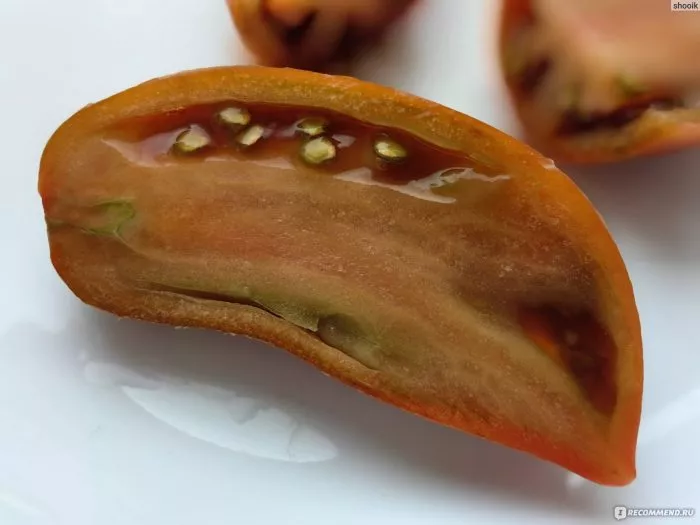 flamenko-purpurnyy-main-167490