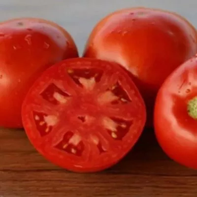 florida-47-main-155370