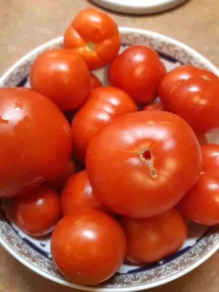 fonari-fokina-5-167027