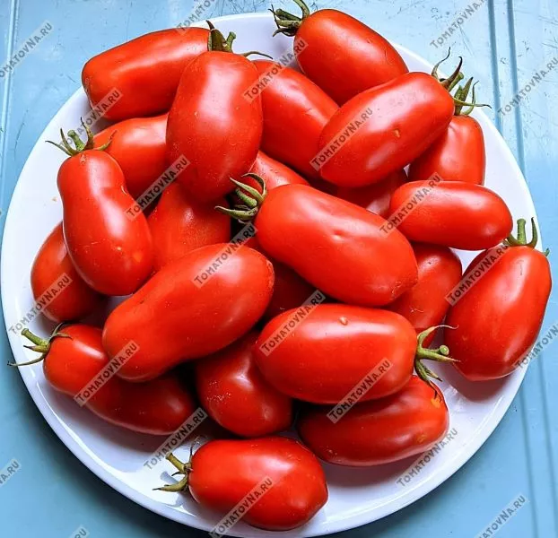 frantsuzskiy-zavtrak-1-140534-1