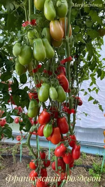 frantsuzskiy-zavtrak-2-140534-1