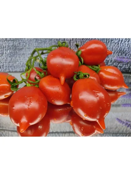 fruktovaya-gora-3-148664