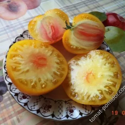 gigant-limonnyy-6-133869