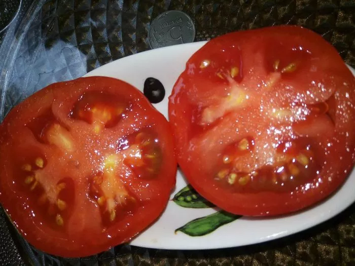 glavnyy-kalibr-4-156564