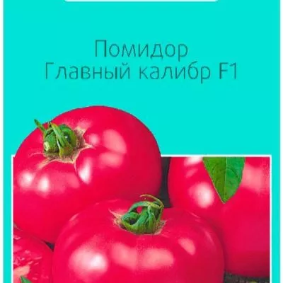 glavnyy-kalibr-8-156564