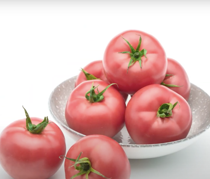 glavnyy-kalibr-main-156564