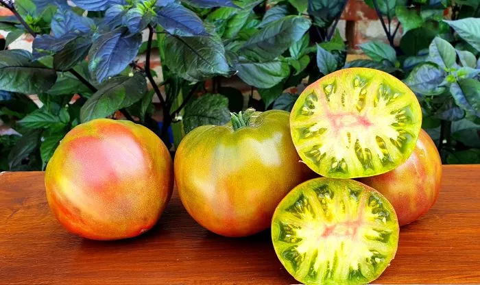 gnom-bagryanyy-zakat-5-139748