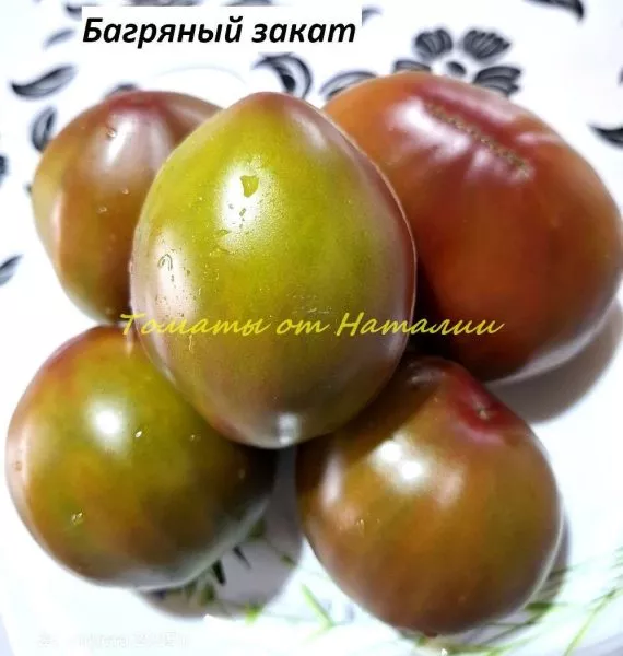 gnom-bagryanyy-zakat-6-139748