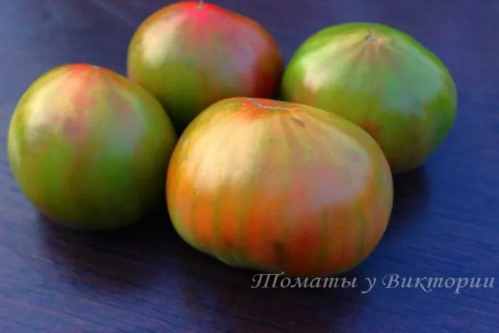 gnom-bagryanyy-zakat-main-139748