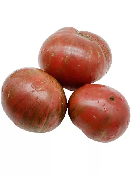 gnom-fred-tay-day-1-167436