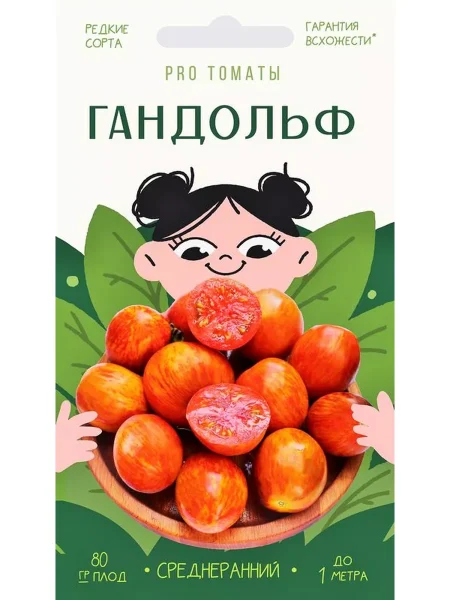 gnom-gandolf-11-166007