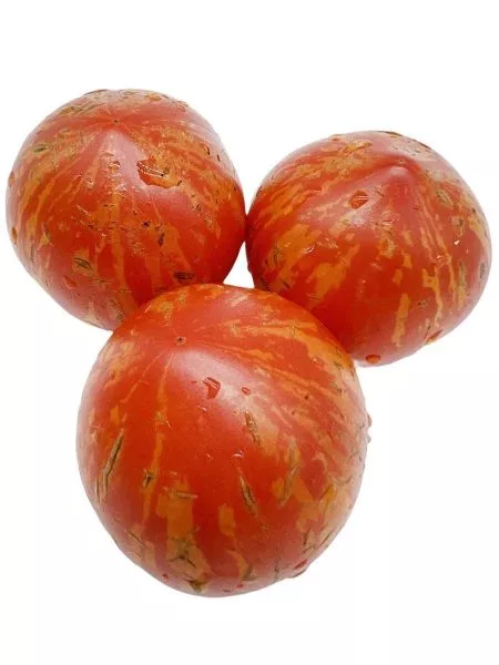 gnom-gandolf-6-166007