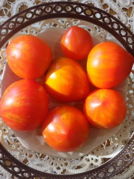 gnom-gandolf-7-166007