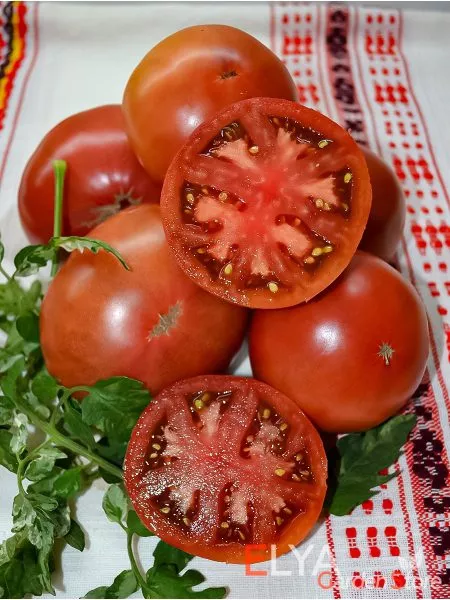 gnom-golubye-pobryakushki-1-168528