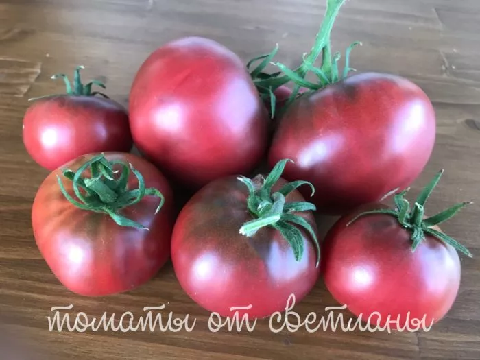 gnom-golubye-pobryakushki-10-168528