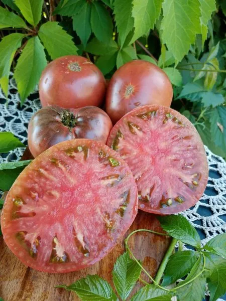 gnom-golubye-pobryakushki-11-168528