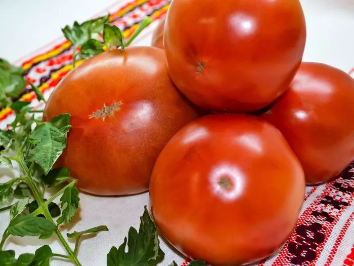 gnom-golubye-pobryakushki-6-168528