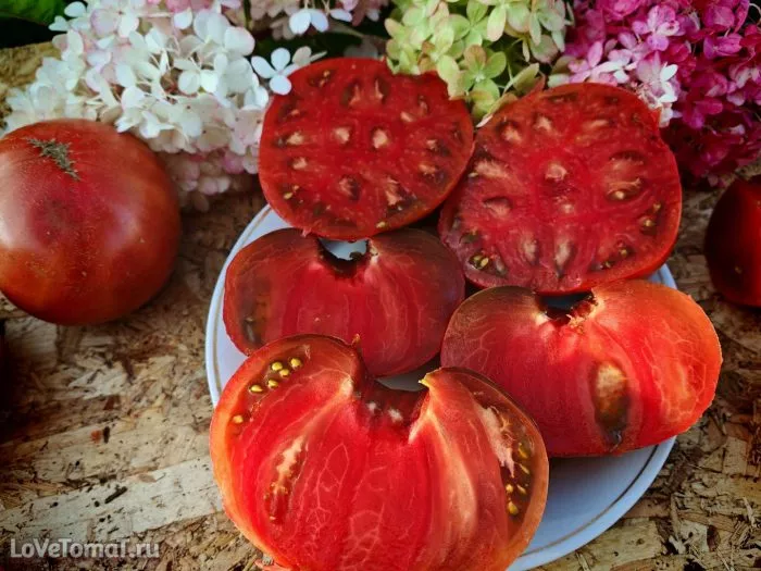 gnom-golubye-pobryakushki-9-168528