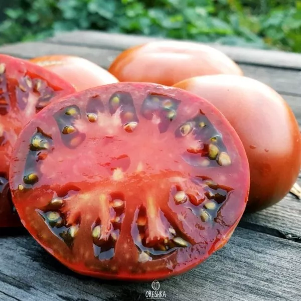 gnom-gordost-perta-4-150064