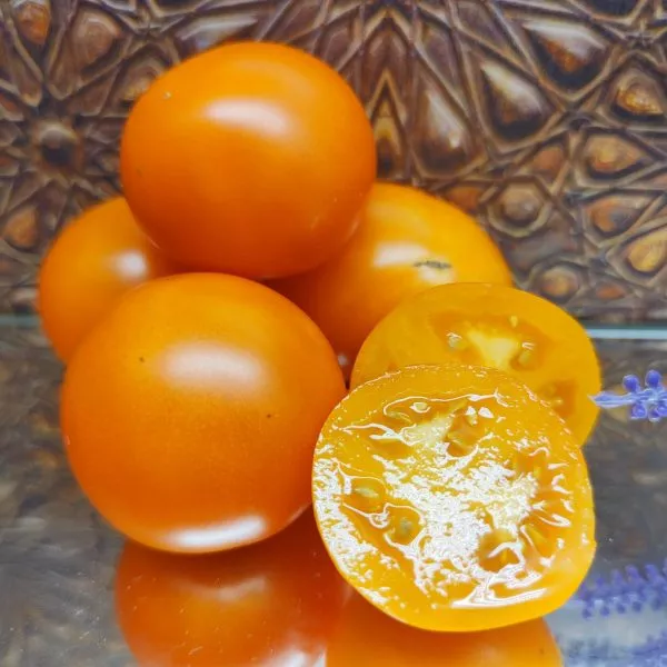 gnom-gordost-poberezhya-oranzhevyy-9-159351