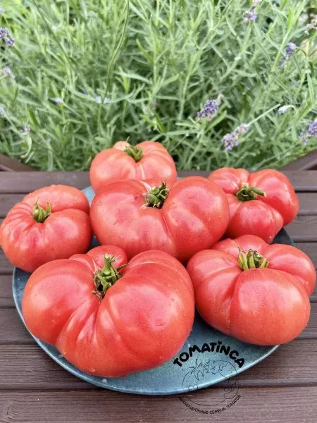 gnom-klubnichnyy-limonad-3-164904