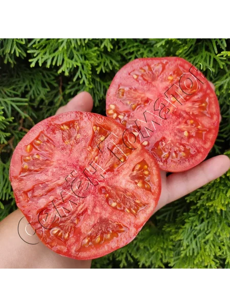 gnom-klubnichnyy-limonad-5-164904