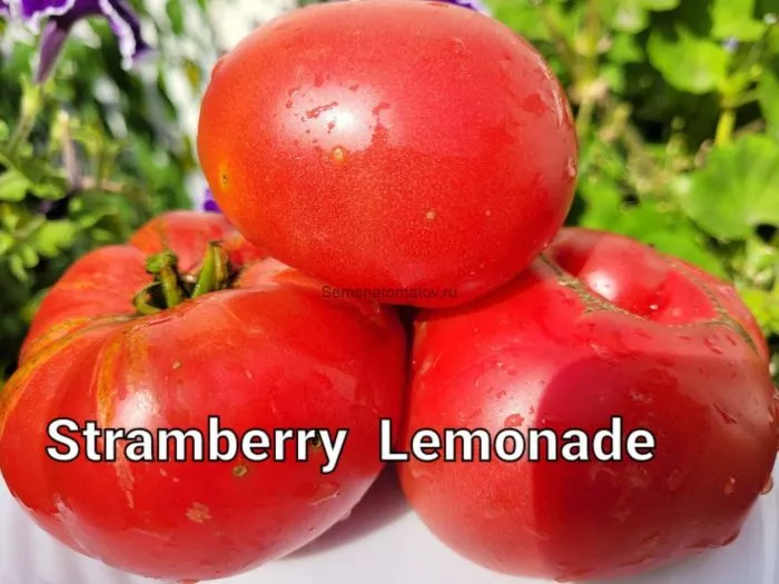 gnom-klubnichnyy-limonad-7-164904