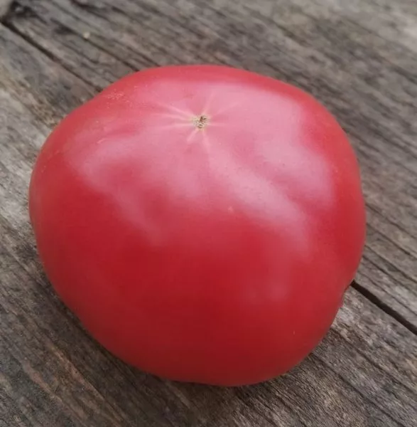 gnom-klubnichnyy-limonad-8-164904