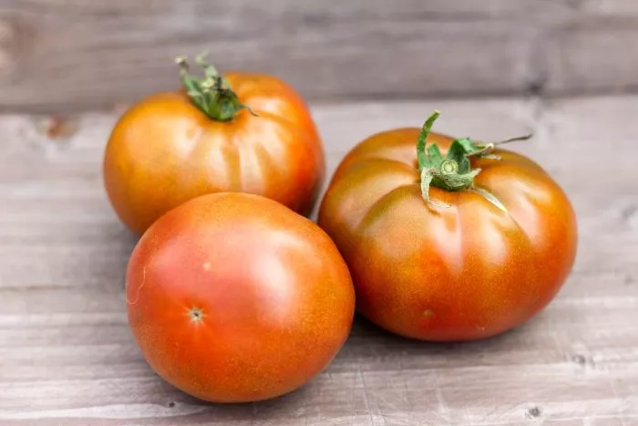 gnom-korol-aramis-4-159206