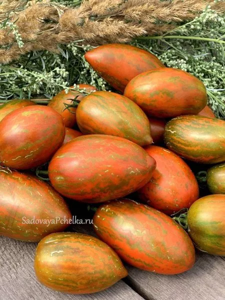 gnom-lyubov-odri-12-152533