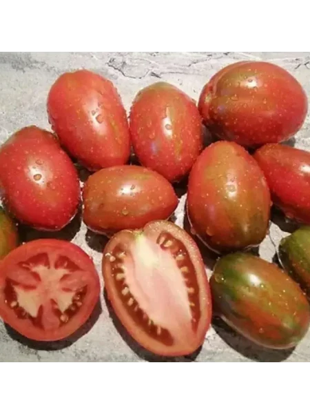 gnom-lyubov-odri-4-152533