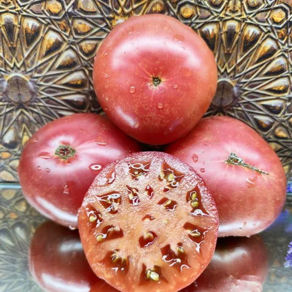 gnom-mgla-vinsa-2-156707