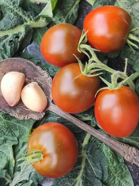 gnom-morschinistaya-noch-dina-5-167039